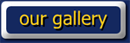 artists gallery